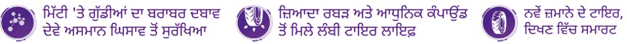 icon-img-punjabi